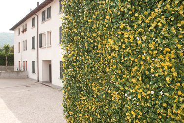 The image shows the product crashes of Girtena of this spring 'Divy Puzzle Buxus'...