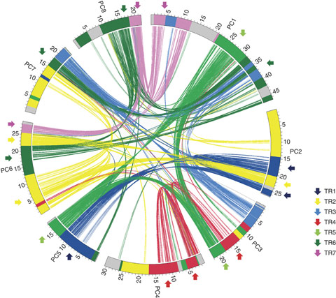 Regiones triplicadas en el genoma del melocotn. Figura tomada de Verde et al. Nature Genetics 45, 487-494 (2013)