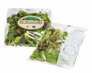 Fresh salad of Il Melograno (Italy)