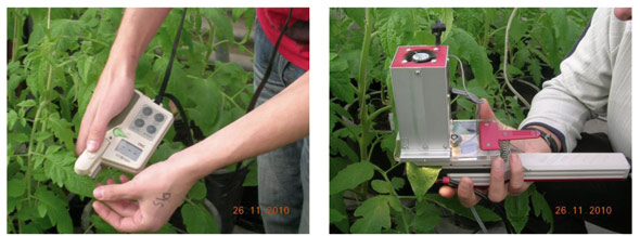 Control de distintos parmetros fisiolgicos durante el crecimiento de las plantas de tomate