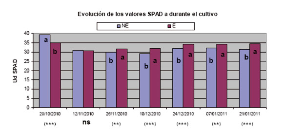 Figura 2: Evolucin del SPAD (contenido de clorofila en hoja) en las plantas de tomate durante el periodo de desarrollo del cultivo (ns, *, **, ***...