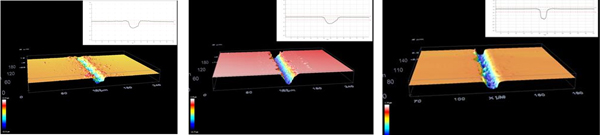 Imgenes tomadas con el microscopio confocal...