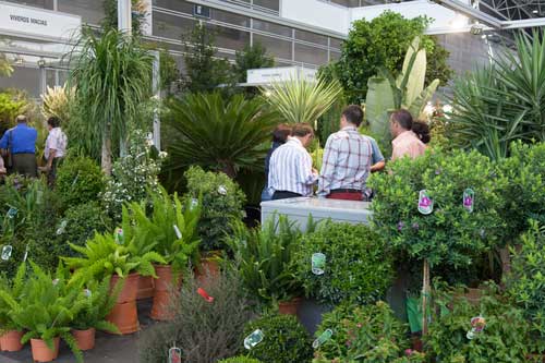 En la imagen, algunos visitantes muestran su inters por conocer detalles de la feria de jardinera