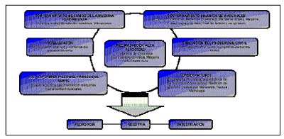 Figure 1. Research topics developed in the ENIM