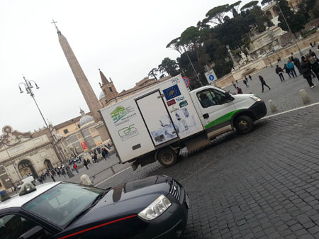Test Efrud en la Plaza de Popolo, Roma