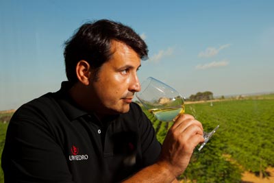 Pablo Ossorio, enlogo de Bodegas Murviedro y director del proyecto, en el campo vitivincola