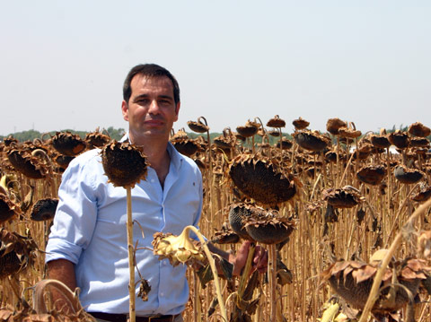 Pedro Gallardo Auger has managed to triple the output of sunflower on his farm