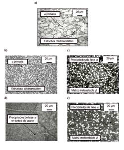 Figure 3:Microstructure of different alloys studied. The clear zones correspond to the α phase while to dark with the β...