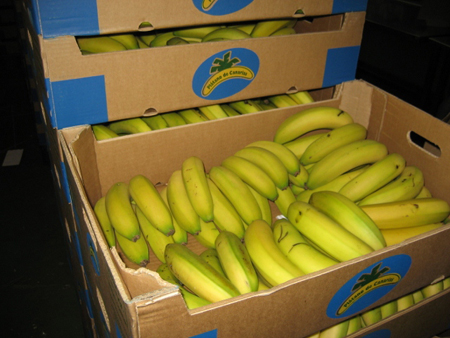 Smurfit Kappa desarrolla un nuevo de 8 kilogramos de capacidad para el sector del plátano Envase y Embalaje