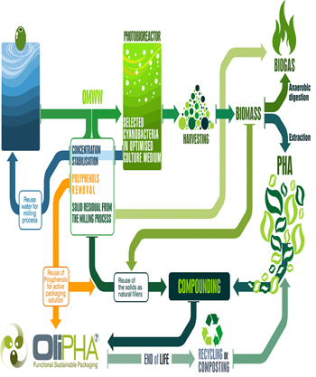 Esquema MaxiUse enseando el enfoque medioambiental integrado seguido en OliPHA para aumentar la sostenibilidad de los materiales y procesos a lo...