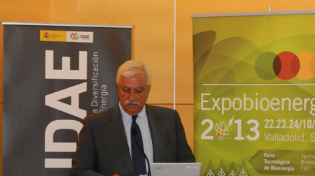 Javier Daz, presidente de Avebiom y Expobioenerga