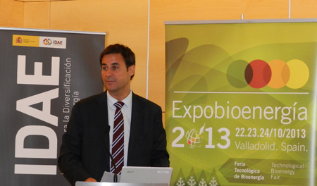 Pablo Gonslvez, responsable de proyectos de biomasa trmica en Avebiom