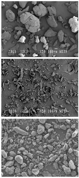 Figura 2: Fotografas SEM de: A) material de referencia, B) Aditivo oxodegradable, C) Polvo de cscara de almendra 0.08 mm...