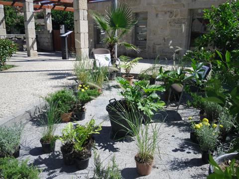 PARK (ing) Day en Allariz (Pontevedra)