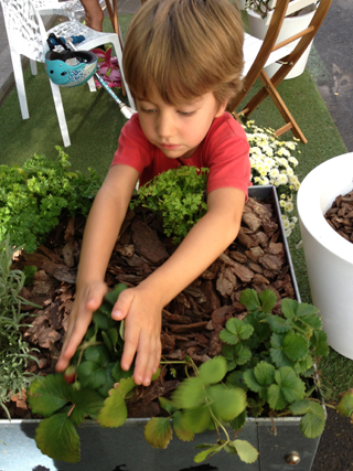 PARK (ing) Day en Madrid