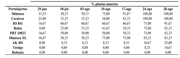 Tabla 4: Evaluacin y evolucin de la mortandad de plantas