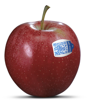 El Marlenmetro es la herramienta de la aplicacin que explica las caractersticas sensoriales de todas las variedades de manzana que cultivan los 5...