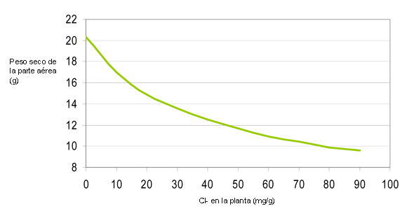 Figura 1: Efecto de la concentracin de cloruro en el tejido del tomate en peso seco de la parte area