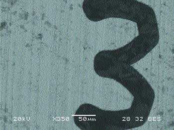 Fotograf�a de un enganaje obtenida en el microscopio electr�nico en la que se puede apreciar la escala