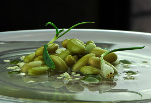 Verdinas en verde con toques anisados, receta ganadora del premio Plato Vegetal 2013, en Fruit Attraction