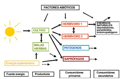 Figura 1. Esquema trfico de los componentes y relaciones principales relacionados con la sanidad vegetal en un agroecosistema...