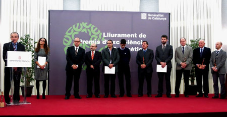 Entrega de los Premios a la Excelencia Energtica