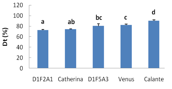 Figura 4: Comparacin (%) de la tolerancia a Monilinia laxa en cinco genotipos de melocotonero. Dt: tolerancia a la enfermedad (%)...