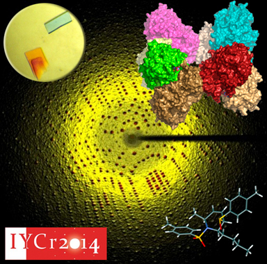 Aspectos cristalogrficos: cristales, espectro de difraccin y estructuras tridimensionales