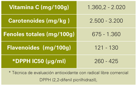 Tabla V. Caractersticas antioxidantes del pimentn de Tadla (Marruecos)