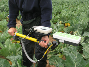El sensor Crop Circle mide simultneamente la reflectancia del suelo y del cultivo