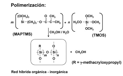 Representacin esquemtica de las reacciones de polimerizacin en la creacin de redes hbridas sol-gel.[A.A...