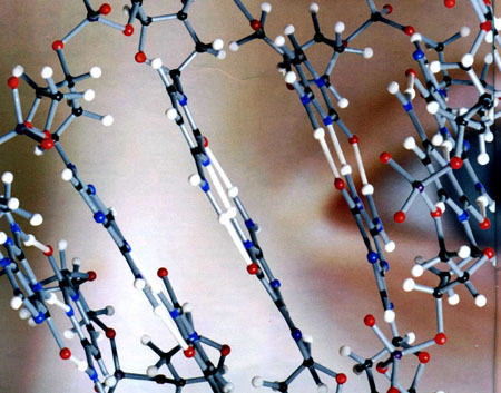 El ADN recubre una nanopartcula de oro. Logrado por Chad Mirkin, Illinois University en 2012...