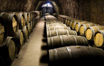 Algunas de las bodegas de la Ruta del Vino de Rueda llevan intactas desde la Edad Media