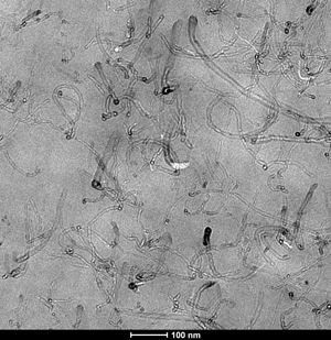 Micrografa electrnica de transmisin del nanocompuesto (poli(ter imida)-poli(butilntereftalato))/nanotubos de carbono con 3% de nanotubos...