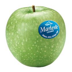 Marlene Granny Smith