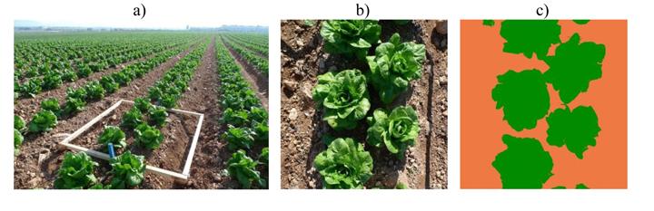 It appears 1: Images used for the experimentation. To) An overview of one of the plots with the area of interest signalled...