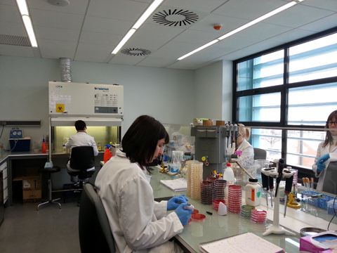 El nuevo IRTA-Fruitcentre cuenta con 23 laboratorios distribuidos en sus cuatro plantas