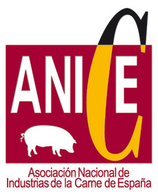 Logotipo de Anice