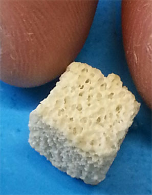 Biomaterial utilizado como matriz para regeneracin sea compuesto por un bloque poroso de 1 centmetro de altura obtenido a partir del tratamiento...