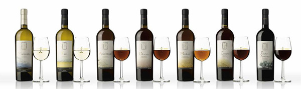 La enorme diversidad del Jerez hace que haya un vino para cada ocasin y para cada paladar...