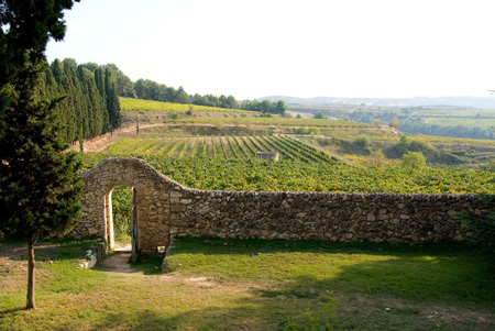 Las Rutas del Vino y el Cava del Peneds Enoturisme Peneds fueron las ms visitadas en 2013. Foto: Ruta del vino y del cava del Peneds...