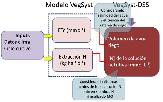 Figura 2: Modelo de simulacin VegSyst y sistema de apoyo a la toma de decisiones VegSyst-DSS