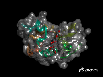 Biovia se encarga del modelado, simulacin y produccin en los campos biolgico, qumico y de materiales