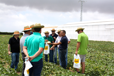Juan Pedro Prez Abelln, de Bayer CropScience Vegetable Seeds, enseando las novedades de la Familia Kirene