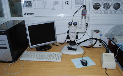 Figura 9: Microscopio estereoscpico modelo Nikon modelo SMZ 2T