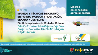 Cartel del taller 'Manejo y tcnicas del cultivo de papaya'