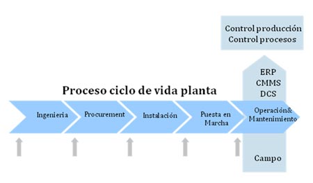 Proceso del ciclo de vida de una planta