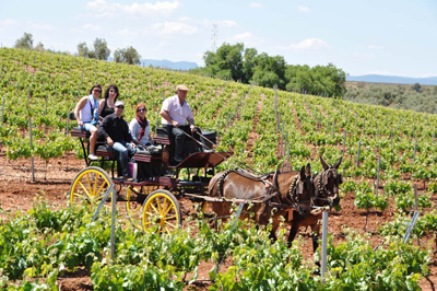 Un paseo en calesa, una de las actividades del Museo de las Ciencias del Vino de Almendralejo