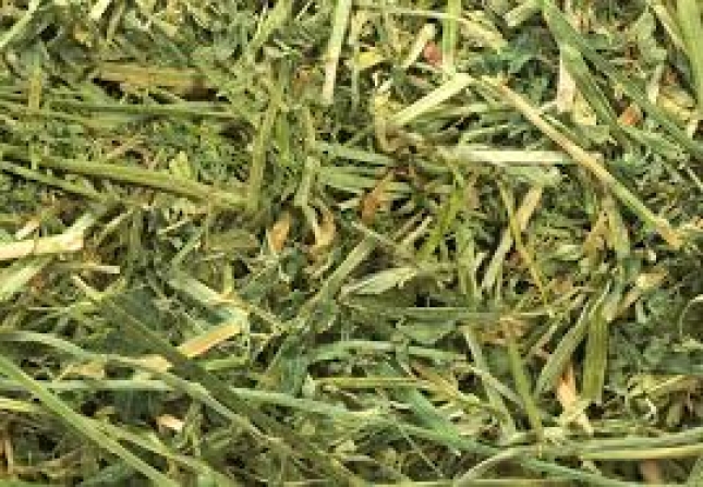 Espaa multiplica su exportacin de alfalfa deshidratada a China