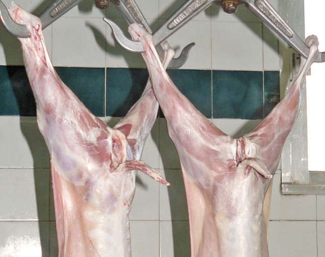 La produccin de carne de caprino sube un 2,7% interanual a pesar del descenso de septiembre